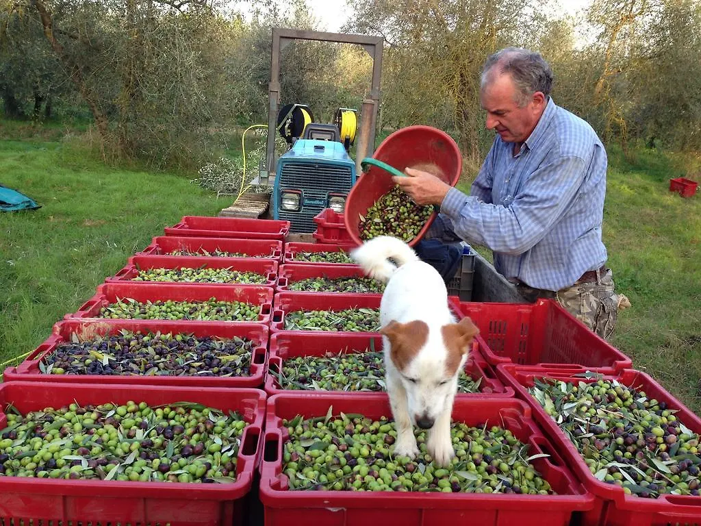 Bauernhof Agriturismo La Roverella Monteroni dʼArbia
