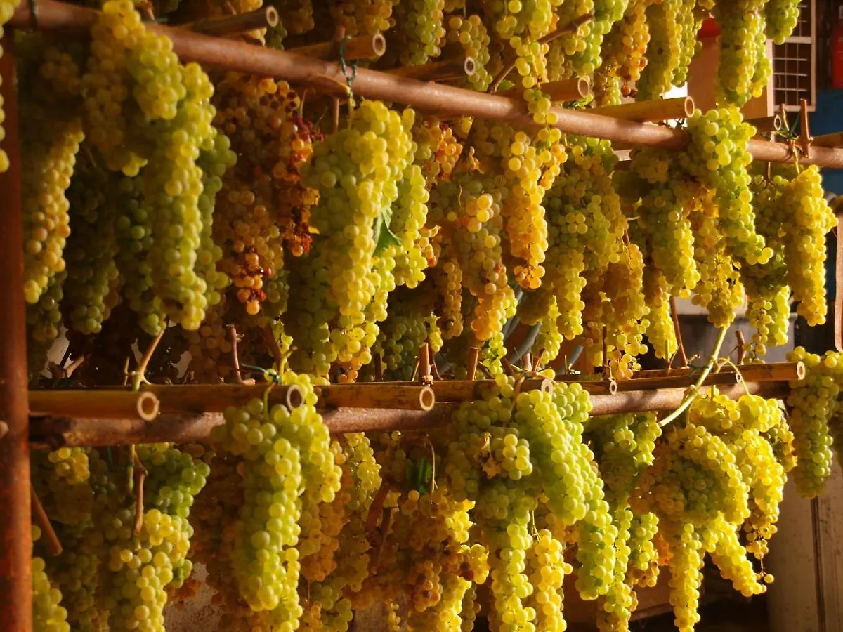 Agriturismo La Roverella Monteroni dʼArbia 0*,  Olaszország