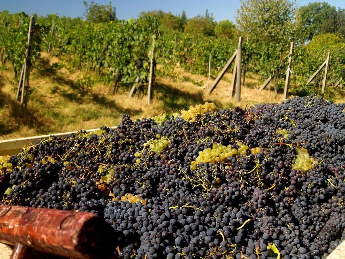 Farmház Agriturismo La Roverella Monteroni dʼArbia Olaszország