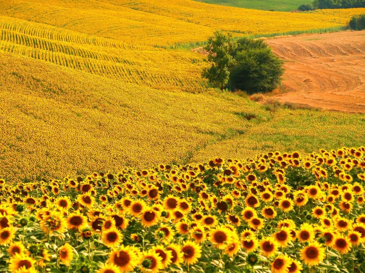 Agriturismo La Roverella Monteroni dʼArbia