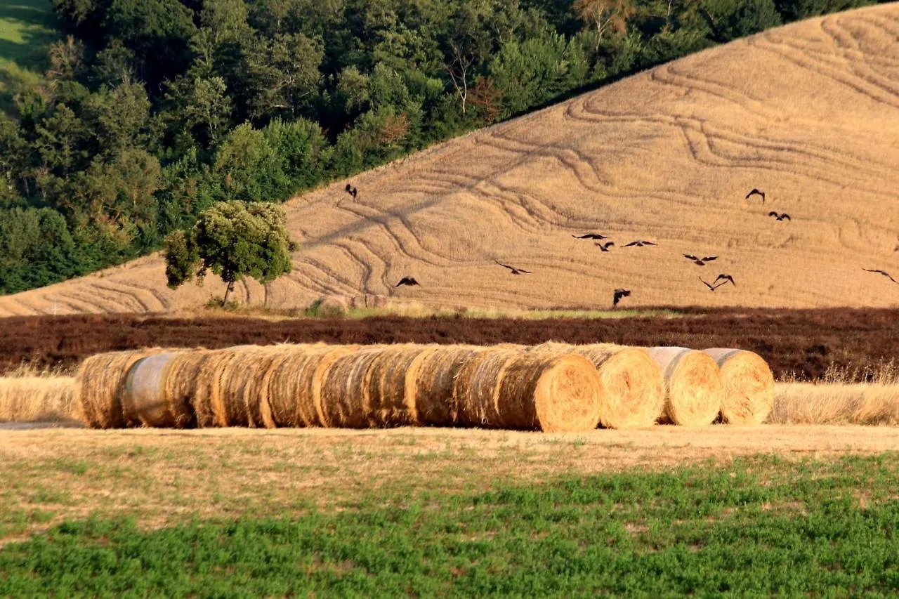 Agriturismo La Roverella Monteroni dʼArbia Olaszország